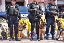 Diez perros se unirán a la Policía Estatal de Aguascalientes 