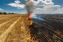 Quemas agrícolas no controladas provocan un tercio de incendios forestales en México