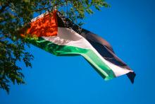 Bandera de Palestina 
