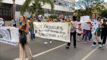 Alianza por la Defensa de Nuestros Árboles y Áreas Verdes