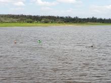 Presa de Tanque del Borrego 