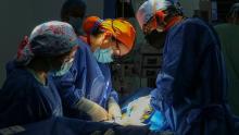 Busca Hospital Hidalgo licencia para practicar trasplante de hígado