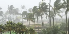 Onda tropical no. 8 provocará lluvias intensas en varios estados 