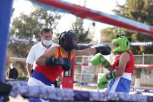 copa aguascalientes 2024 box