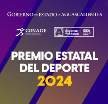 Premio Estatal del Deporte 2024