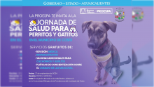 Jornada de Salud para Perritos y Gatitos 