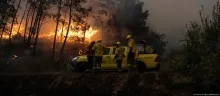 Incendio forestal