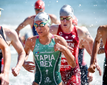 Campeonato Mundial de Triatlón 