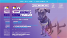 Caravana de Salud Canina y Felina 