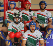 Panamericano de Kickboxing 