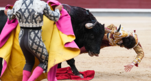 Corridas de toros