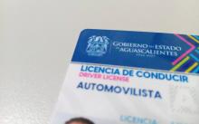 Licencias de Conducir