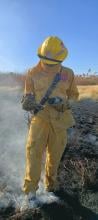 Bomberos rescatan a gatitos