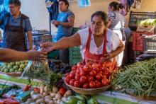 Trabajos formales ofrecen ingresos un 78% mayores que los informales: experto