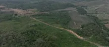 Prisión en la Amazonia