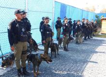 Agentes caninos 