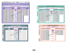 Boletas electorales