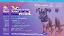 Caravana de la Salud Canina y Felina