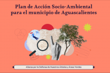 Acusan ambientalistas falta de participación en Plan de Desarrollo Municipal