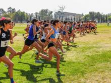 Campeonato Nacional de Campo Traviesa 2025