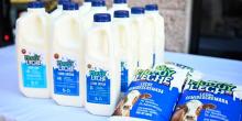 Productores de leche buscan posicionar “Muuuy leche” en la entidad