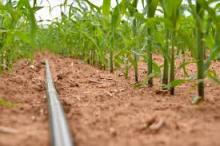 Apoyos Para el Campo