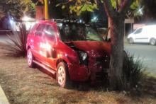 Ebrio conductor impactó su camioneta contra un árbol.