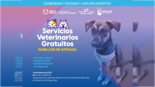 Servicios veterinarios 