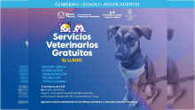 Servicios veterinarios 