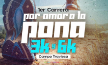 Carrera de campo traviesa  “Por amor a la pona”