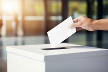 Elecciones judiciales