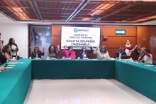 Interrupción del embarazo hasta las 12 semanas en Aguascalientes: Cámara de Diputados exhorta al Congreso del Estado