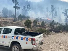 Incendios forestales