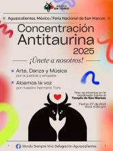 En pie manifestación pacifica antitaurina este domingo; animalistas se deslindan de actos de violencia