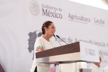 "México no es piñata de nadie": Sheinbaum 