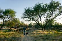 La Pona Aguascalientes 