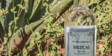 Mezcal 