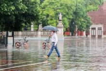 Lluvias
