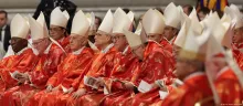 Cardenales