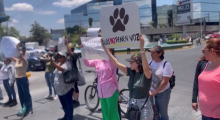 Manifestación por caso "Loba" 