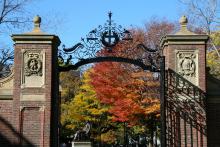 Harvard 