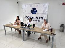 Hay una falla estructural en candidaturas únicas: Empresarios buscan apelar elección judicial en 2027