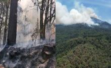 Incendios arrasan con parte del santuario de la mariposa monarca en Michoacán