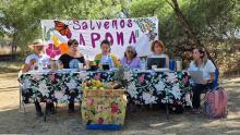 Salvemos La Pona 