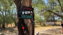 La Pona
