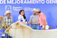 Tere Jiménez