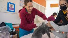 Jornadas veterinarias 