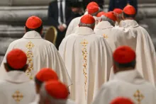 Cardenales