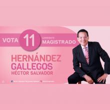 Héctor Salvador Hernández Gallegos