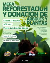 Mega reforestación 